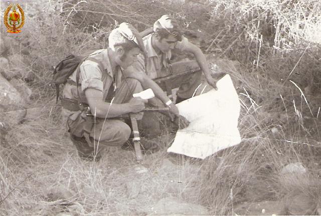Maniobras y Guerrillas015.jpg
